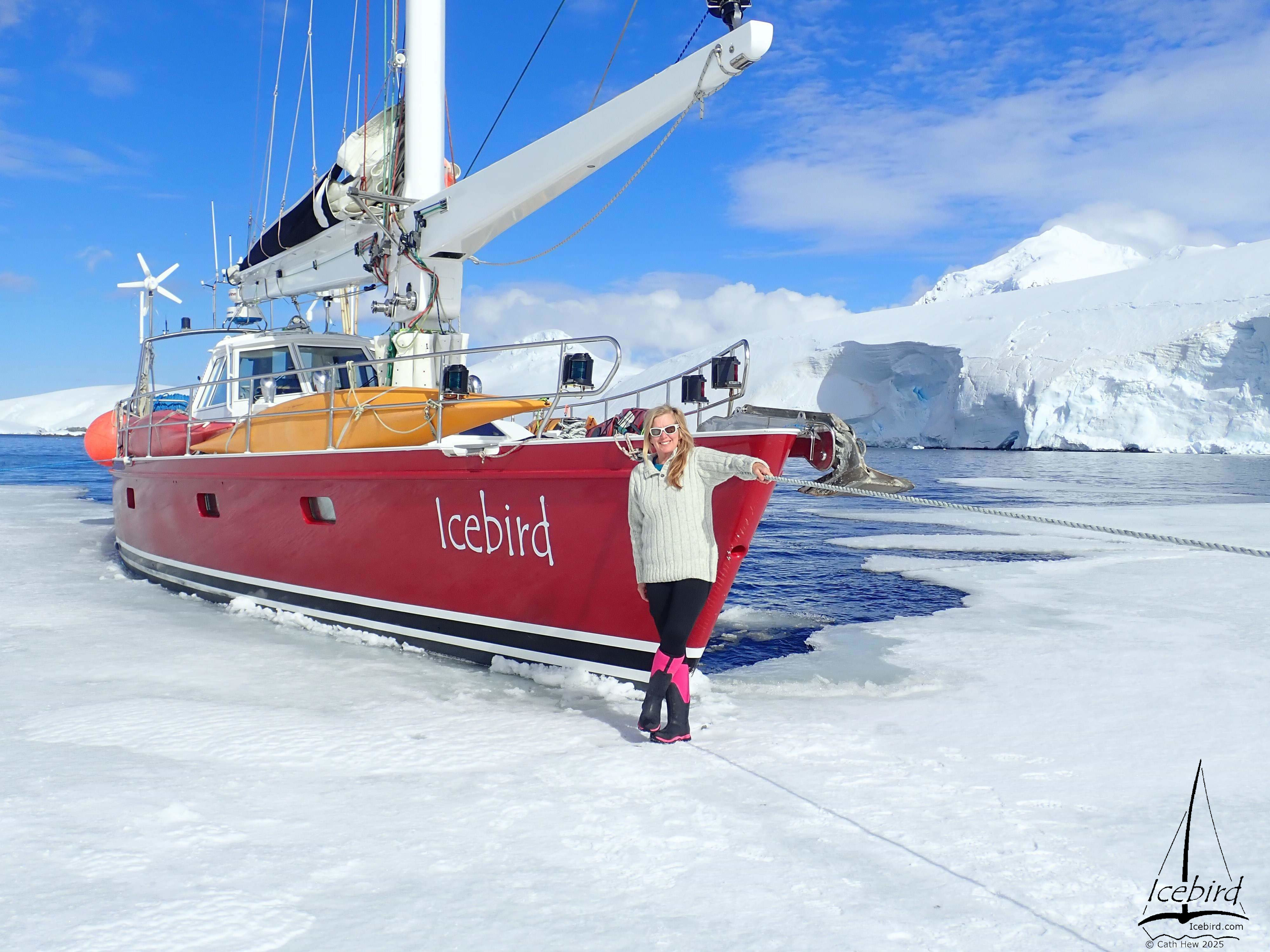 Cath Hew and the Icebird